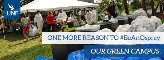 #BeAnOsprey-blog_green